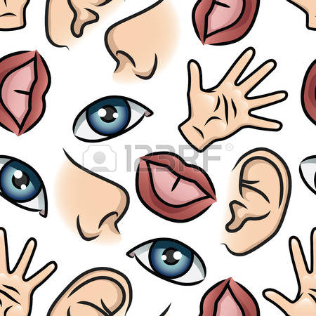 450x450 Top 81 Body Parts Clip Art