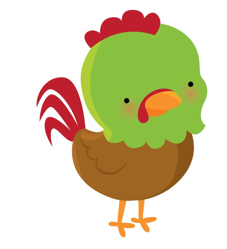 736x808 1895 Best Animales Hermosos Images Pictures, Animal