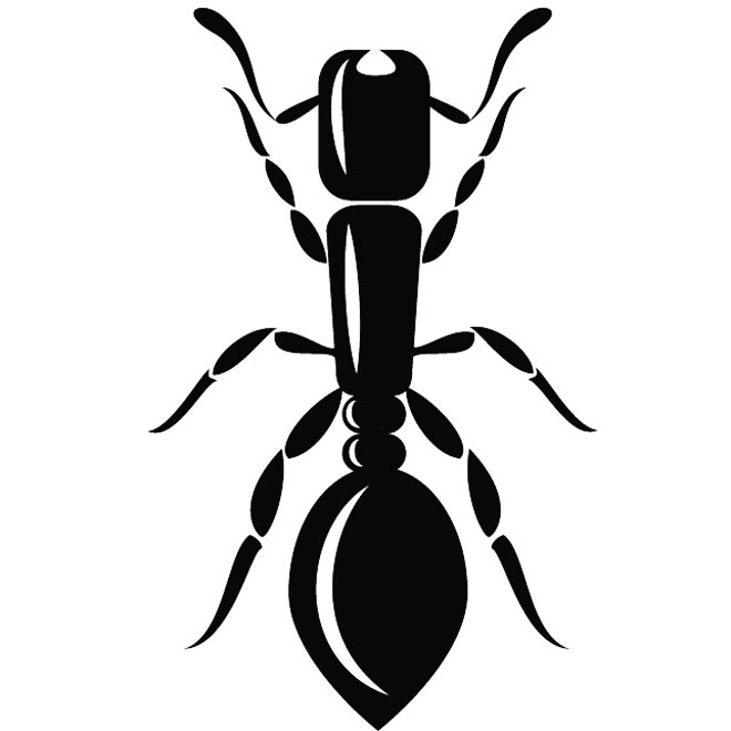 660x660 16 Ant Clip Art Vectors Download Free Vector Art Amp Graphics