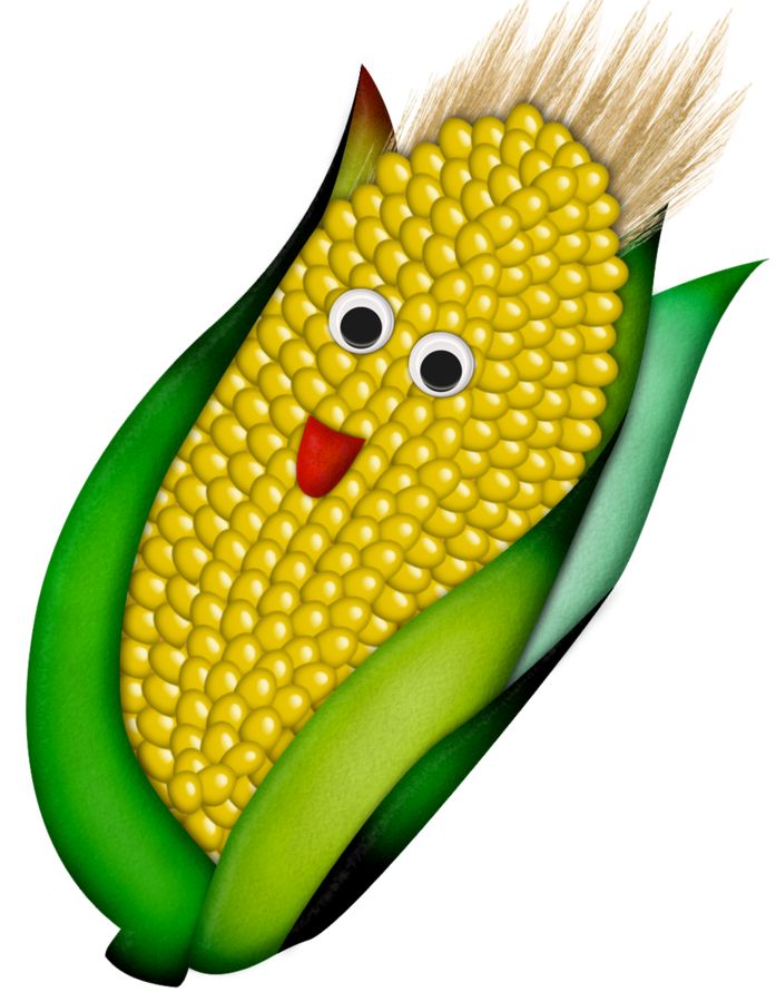 697x900 254 Best Clipart Fruits Amp Vegetales Images Flower