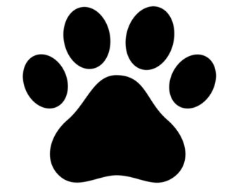 340x270 Paw Print Stickers Etsy