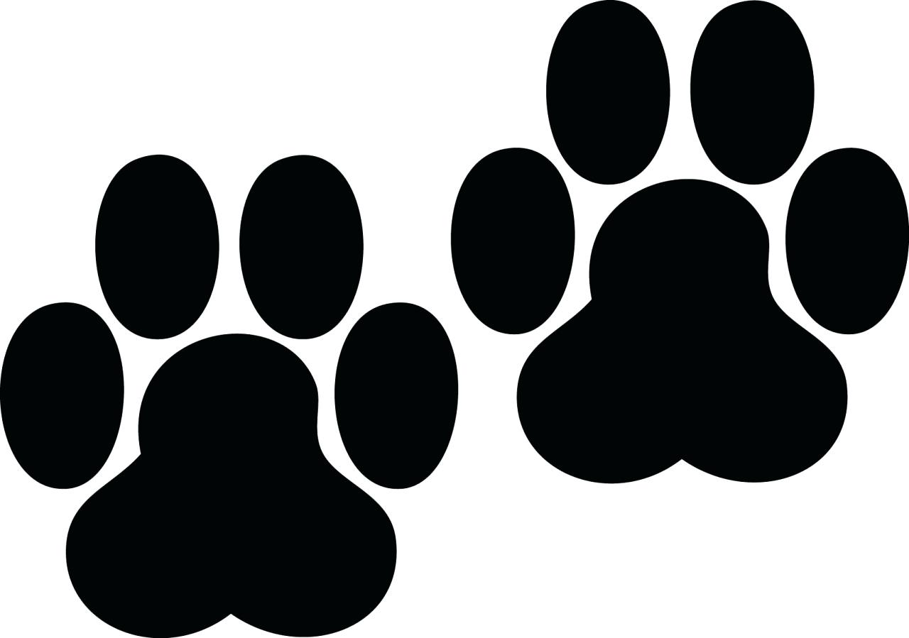 1280x899 Dog Paw Print Wall Decals Dog Paw Heart Decal Check Out Our Shop