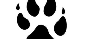 272x125 Paw Print Silhouette Free Download Clip Art Free Clip Art