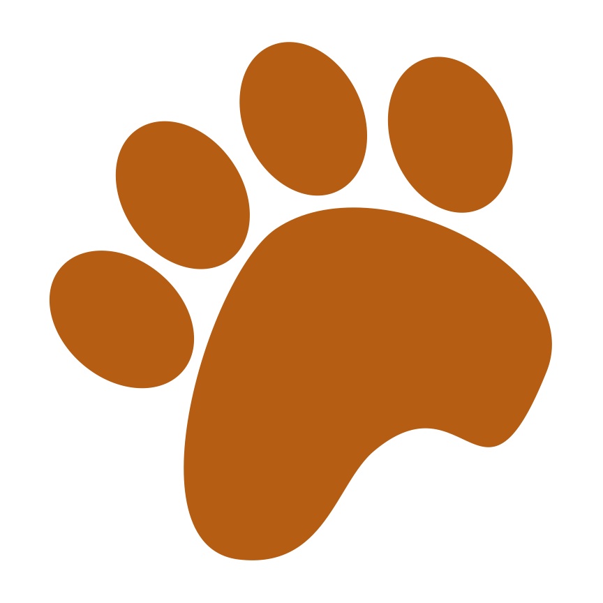 864x864 Paw Print Clipart Brown