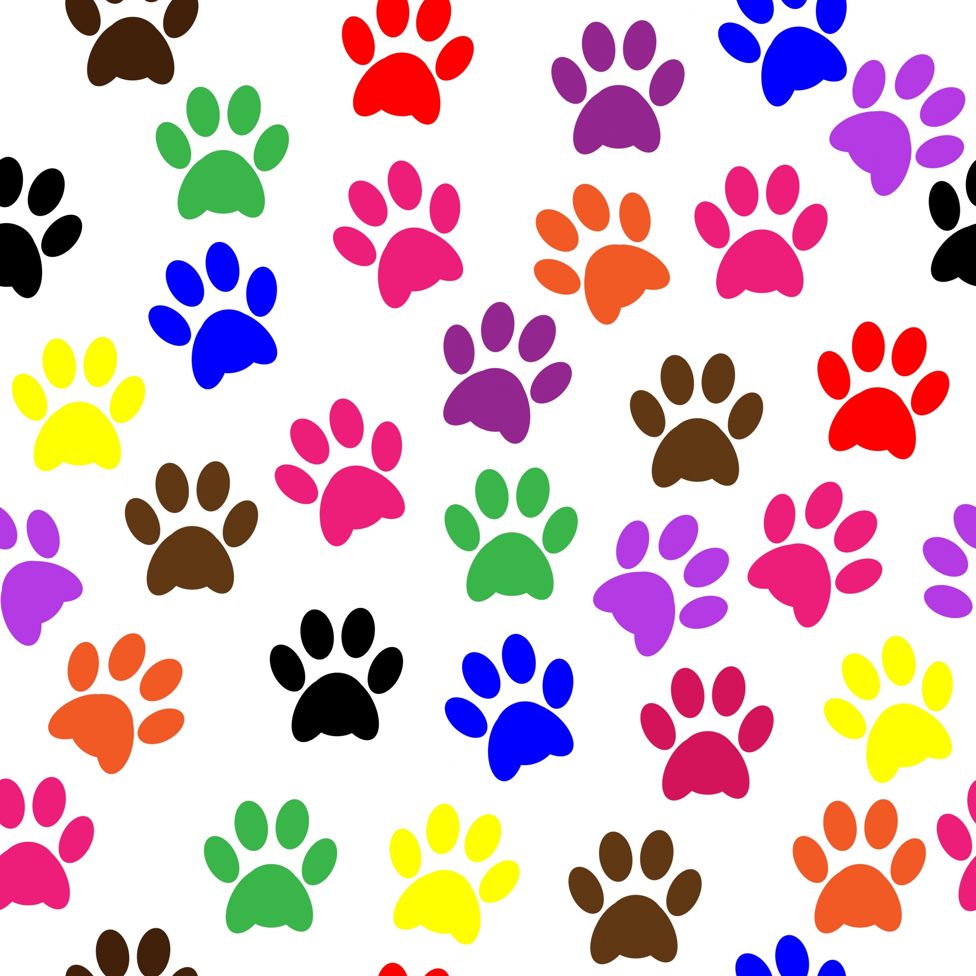 1920x1920 Paw Prints Colorful Wallpaper Free Stock Photo