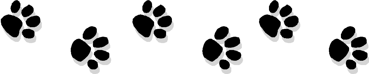 1262x256 Paw Print Trail Clipart