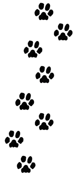 321x760 Paw Clipart Trail