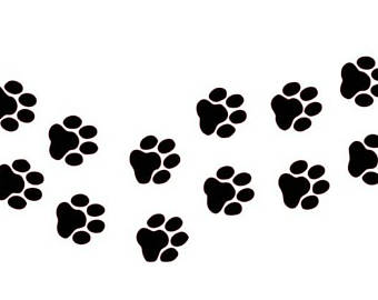 340x270 Paw Print Decal Etsy