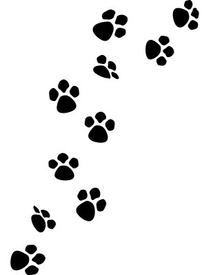 Paw Print Trail | Free download on ClipArtMag