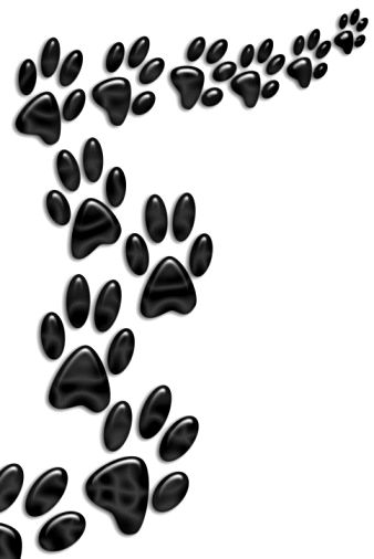 338x506 Bulldog Paw Print Trail Photo