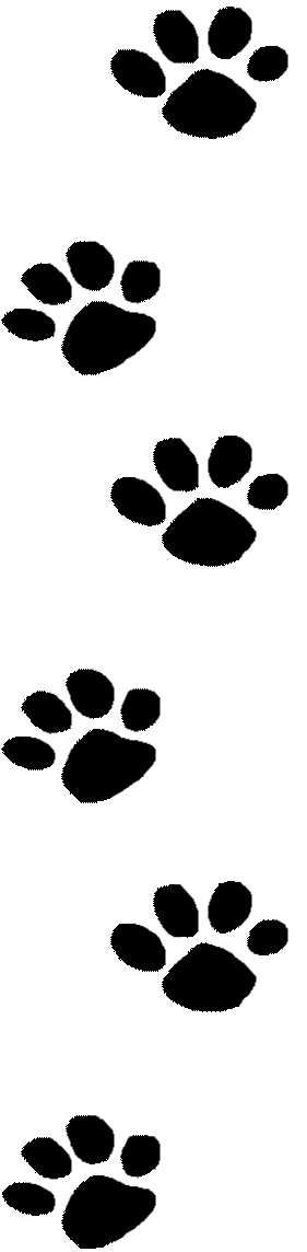 281x1144 Wildcat Clipart Cat's Paw