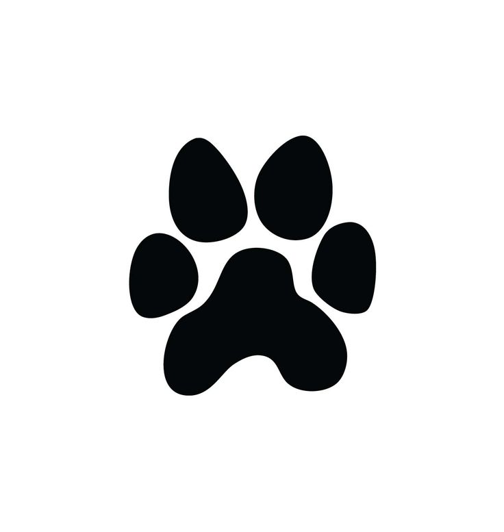 736x777 Paw Print Clip Art