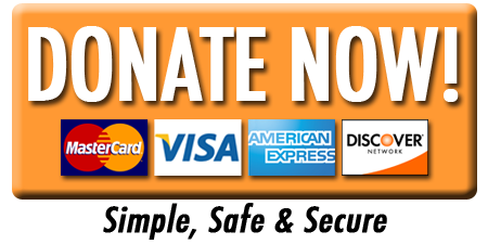 450x225 Donate Now Buttons For Website Blog With Code