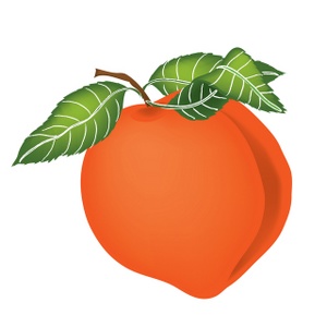 300x300 Free Clipart Peach