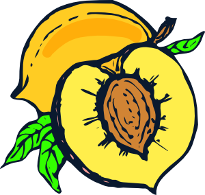 300x284 Peach Clip Art