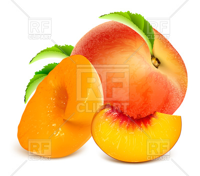 400x353 Ripe Peaches Royalty Free Vector Clip Art Image
