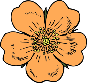 300x285 Peach Flower Clip Art