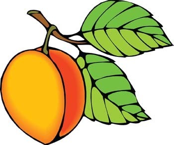 350x293 Peach Clipart Fruit Outline