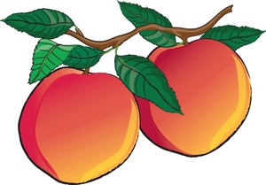 300x209 Peach Clipart Kid