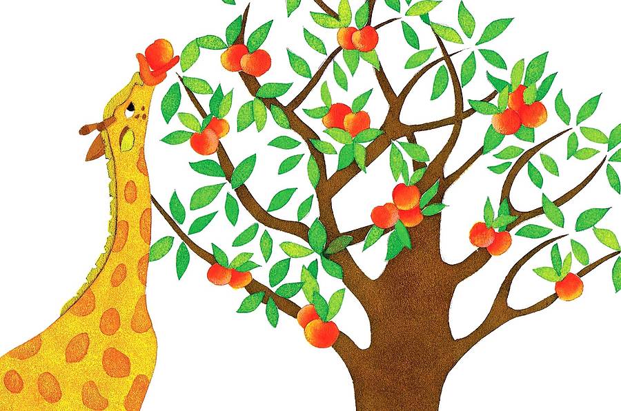 900x596 Peach Clipart Peach Tree