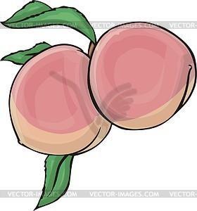 280x300 Peach Clipart Pink