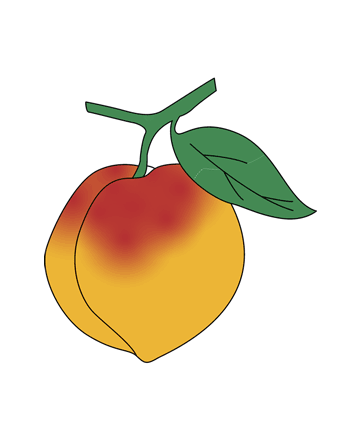 360x440 Peach Clipart Nice Coloring Pages For Kids