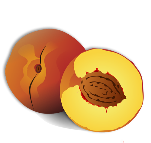 500x471 Peach Clipart Fruit