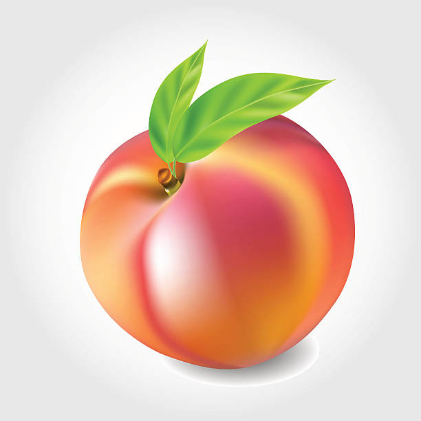 Peaches Clipart | Free download on ClipArtMag