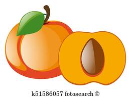 261x194 Peach Slice Clip Art Illustrations. 882 Peach Slice Clipart Eps
