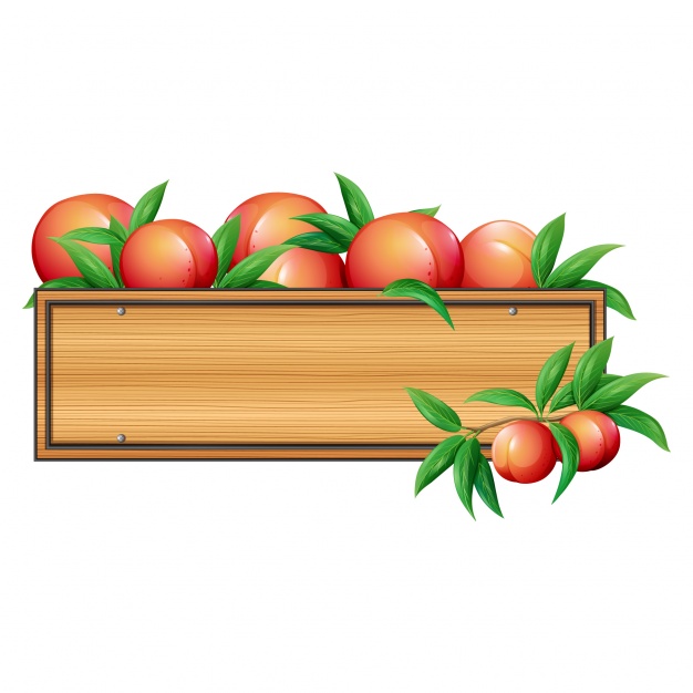 626x626 Peaches Box Design Vector Free Download