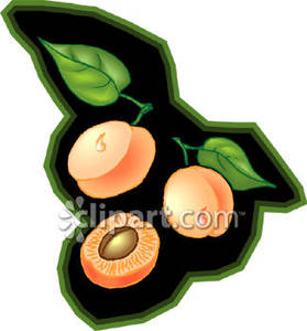 279x300 Peach Pit Clipart