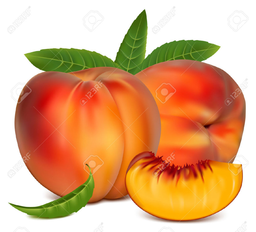 830x754 Peach Clipart Vector