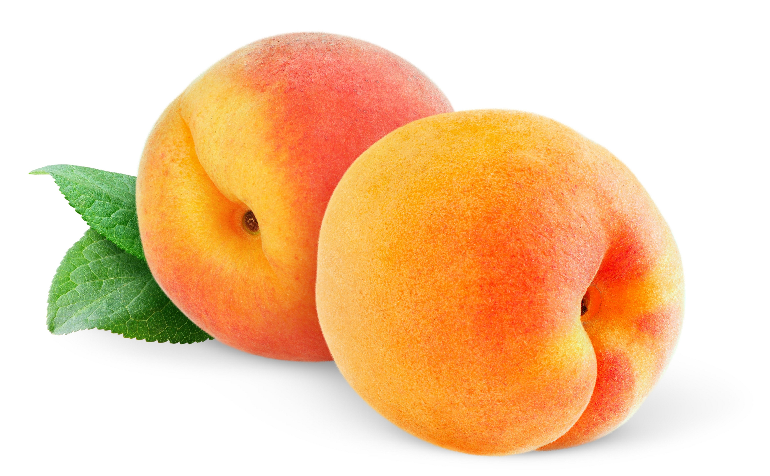 3000x1857 Peaches 004.jpg