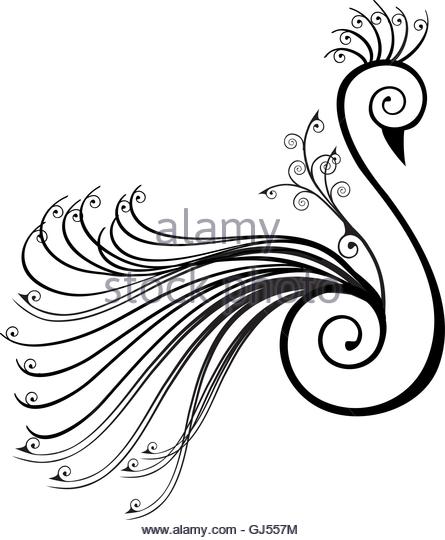 445x540 Beautiful Peacock Black And White Stock Photos Amp Images