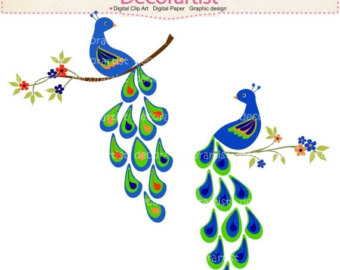 340x270 Peacock Clipart Artwork