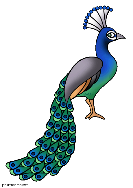 460x648 Peacock Clipart Black And White Free Clipart Images