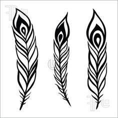 236x236 Feathers Black And White Clipart