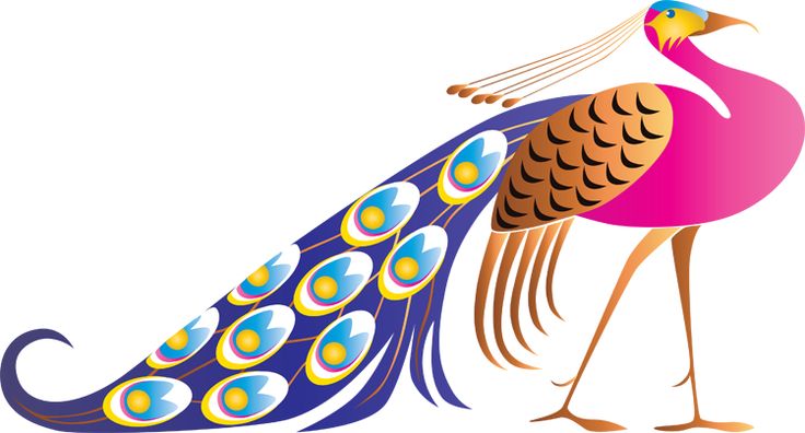 736x396 Peacocks Creative And Clip Art