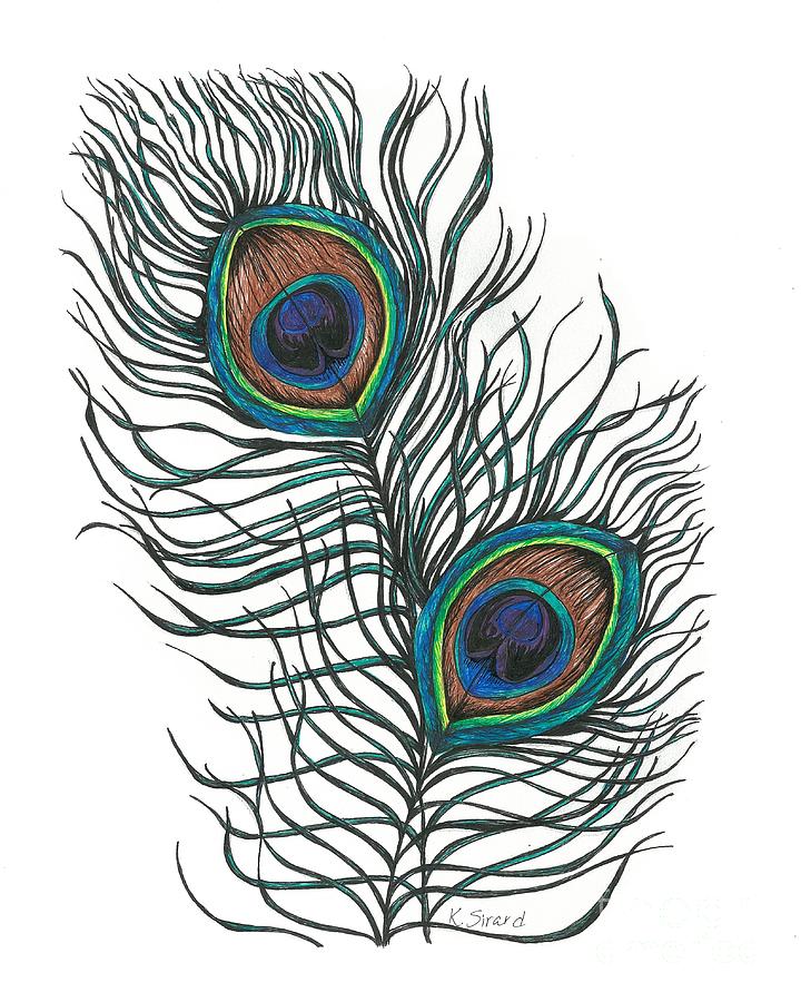720x900 Free Peacock Feather Clip Art Cliparts