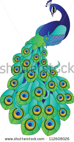 245x470 Peacock Clipart