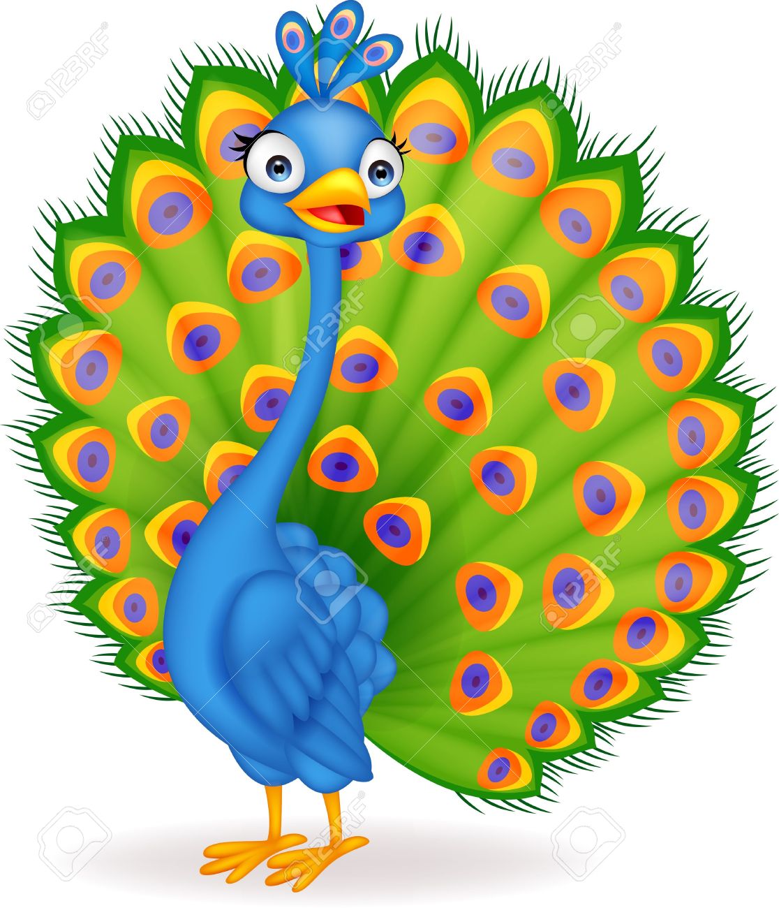 1116x1300 Peacock Clipart 2