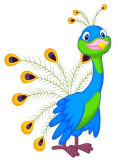 236x323 Peacock Clipart Templates On Clip Art Graphics Fairy