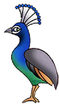 236x415 Peacock Clipart Head