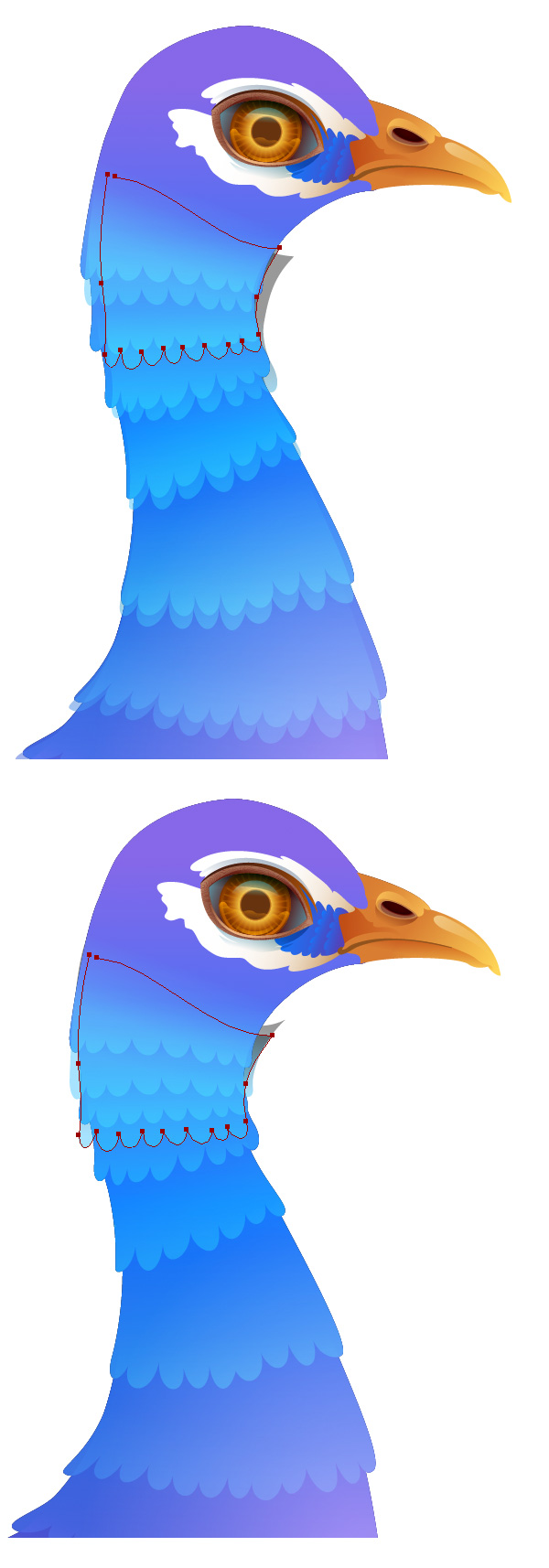 600x1714 Create A Vibrant Peacock In Adobe Illustrator