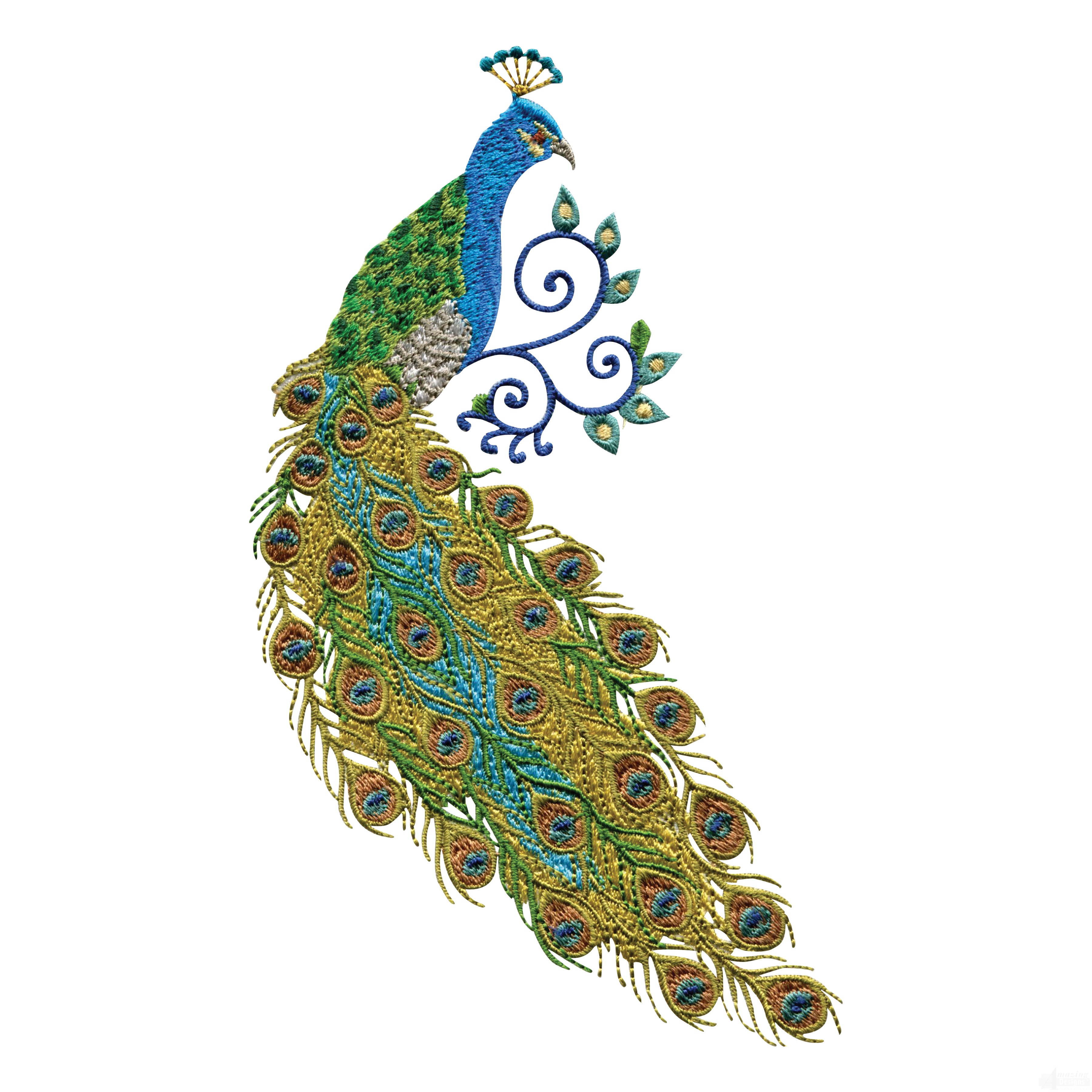 3600x3600 Peacock Embroidery Border Designs