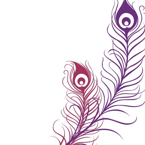 486x486 Peacock Clipart Quill