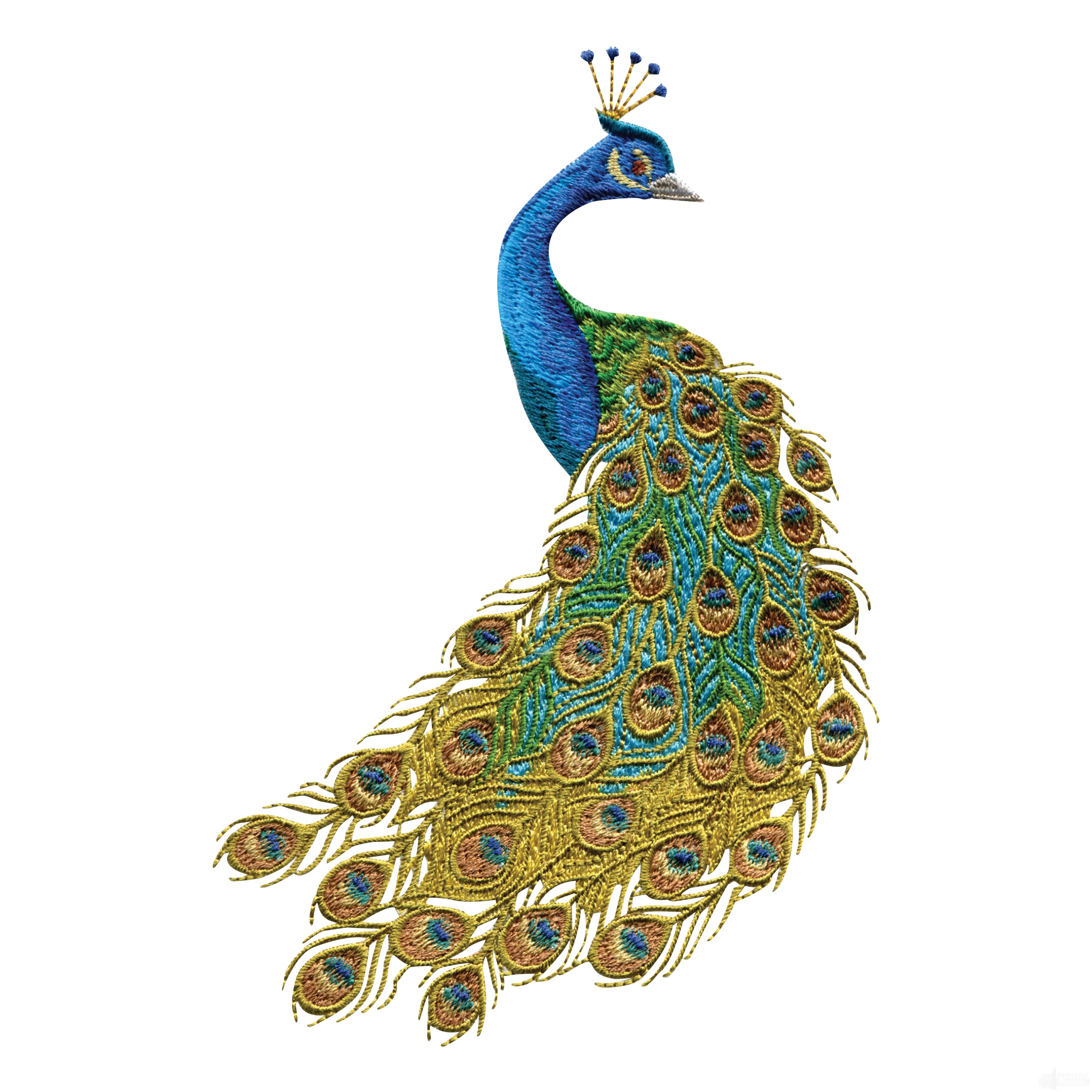 3600x3600 Embroidered Peacock Feather By