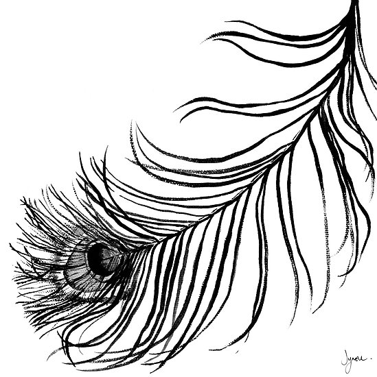 549x550 Feather Clipart Peocock