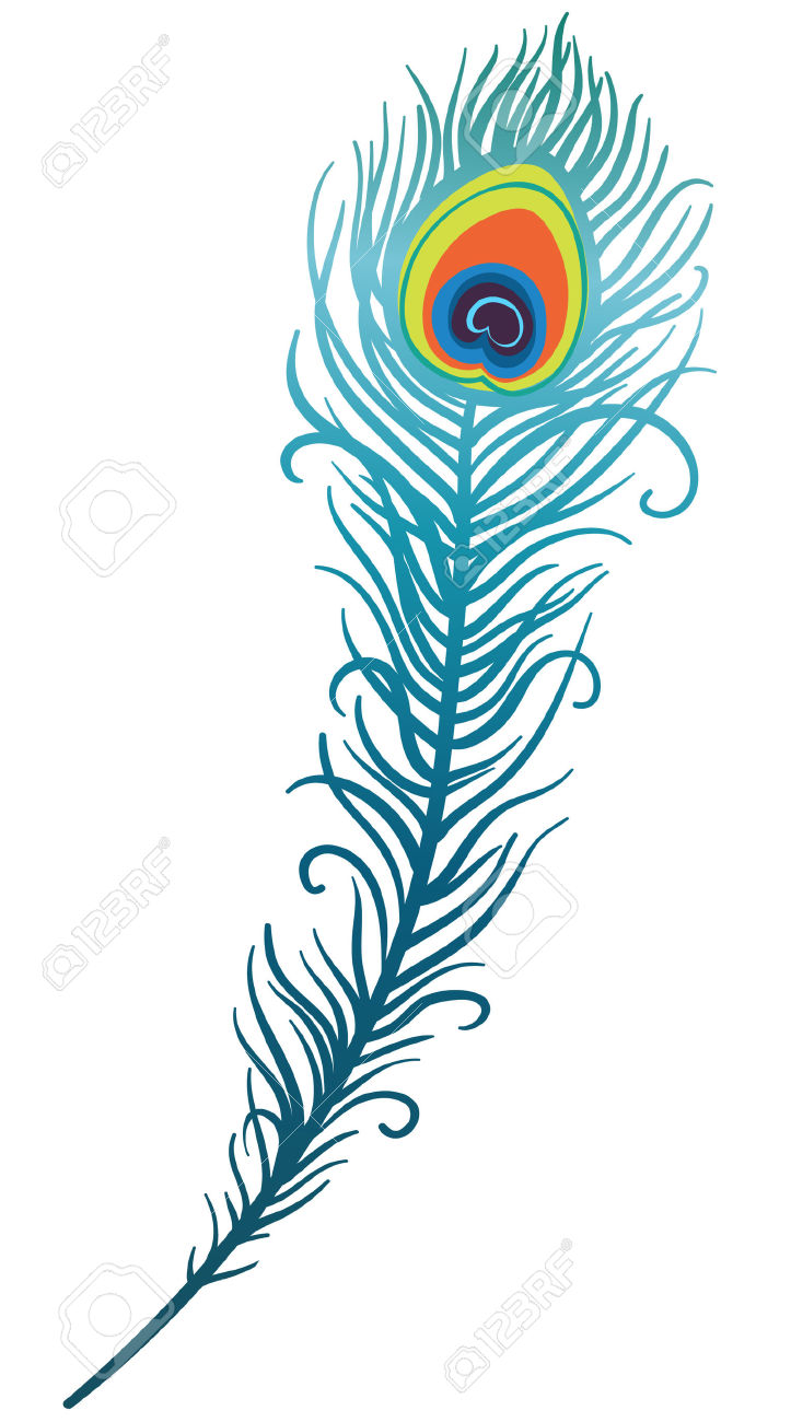 723x1300 Feather Clipart Peacok