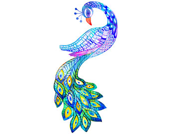 340x270 Peacock Clipart Graphic Design